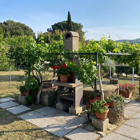 Villetta Di Rosa Procchio  Dış mekan fotoğraf